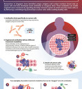 LICENSING AGREEMENT WITH BOEHRINGER INGELHEIM TO DEVELOP TARGETED CANCER THERAPIES
