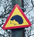 Study: Tallinn home to exceptionally high wildlife numbers