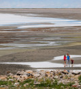 News at a glance: Global warming, China’s COVID-19 deaths, and JWST’s exoplanet investigations