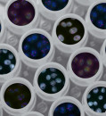 A solution for secure analysis of genetic data developed in Estonia