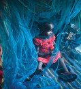 News at a glance: Modernizing bed nets, IDing a Solar System visitor, and health lessons from Beethoven’s hair