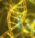 Benchtop DNA printers are coming soon—and biosecurity experts are worried