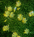 ‘Breakthrough’ could explain why life molecules are left- or right-handed