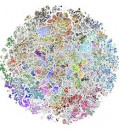 Atlas of biomedical literature could help track down fabricated studies