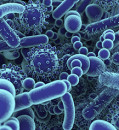 ‘Major errors’ alleged in landmark study that used microbes to identify cancers
