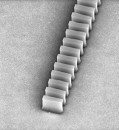Biochip could detect multiple viruses, cancers, or toxins in minutes