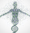 Your cells don’t have the genome you were born with. Project aims to chart impact of new mutations