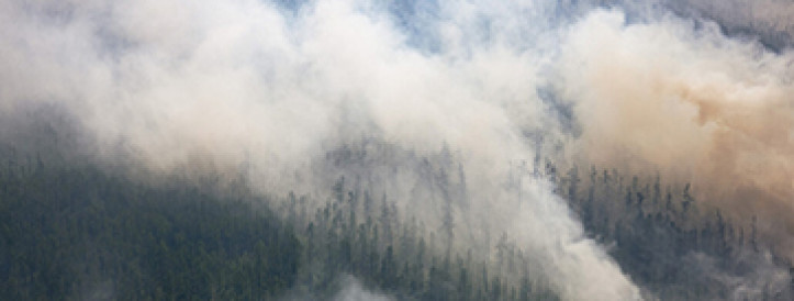 Wildfires in boreal forests released a record amount of CO2 in 2021