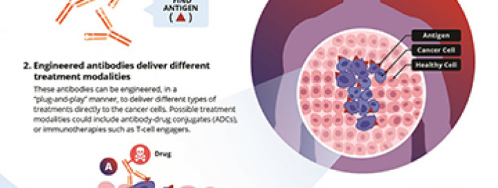 LICENSING AGREEMENT WITH BOEHRINGER INGELHEIM TO DEVELOP TARGETED CANCER THERAPIES