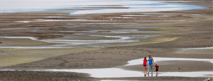 News at a glance: Global warming, China’s COVID-19 deaths, and JWST’s exoplanet investigations