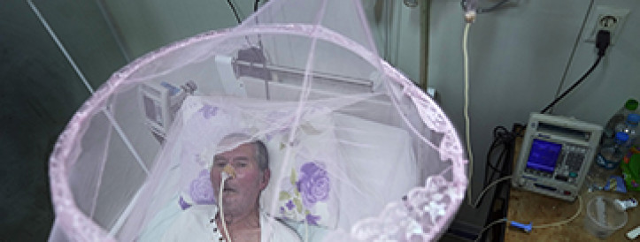 A chikungunya vaccine is nearing approval. Who will get it?