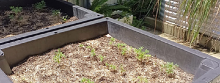 Travel grant to University of New South Wales (UNSW)