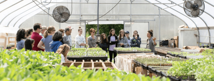 LIGHT SPECTRUM AND ITS ROLE IN CALCIUM NUTRITION