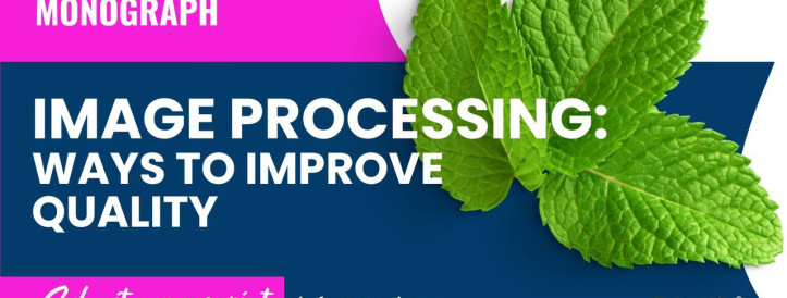 Submit a manuscript for a collective monograph: IMAGE PROCESSING: WAYS TO IMPROVE QUALITY