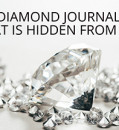 DIAMOND JOURNALS: WHAT IS HIDDEN FROM VIEW?