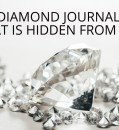 Unveiling the Dynamics of Diamond Journals: The Hidden Realities of Open Access Initiatives