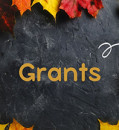GRANTS FOR 19.10.2023