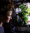 Crops grown without sunlight could help feed astronauts bound for Mars
