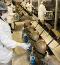 Is an end to using imperiled horseshoe crabs for U.S. drug testing in sight?