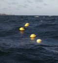 Estonian scientists develop new shipwreck pollution prediction system