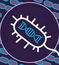 Breakthrough Search Algorithm Identifies 188 New CRISPR Systems