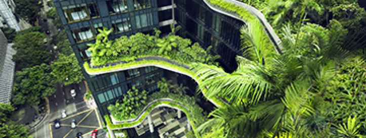 HOW SINGAPORE IS SERVING UP SUSTAINABLE FUTURE-READY FOODS