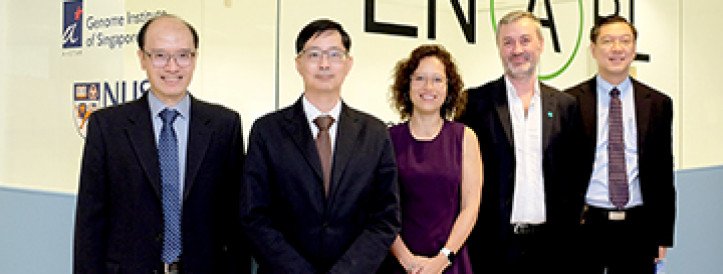 GIS, NUS, AND NOVO NORDISK TEAM UP TO STUDY NON-ALCOHOLIC FATTY LIVER DISEASE IN ASIAN POPULATIONS
