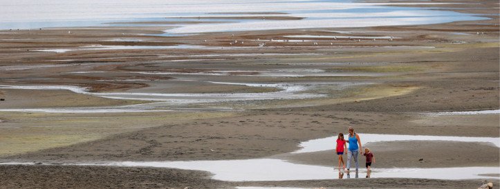 News at a glance: ‘Cherry-picked’ vaccine guidance, AI-written papers, and an apology for prisoner research