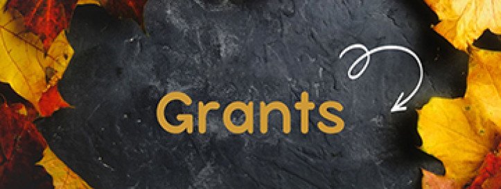 GRANTS FOR 19.10.2023