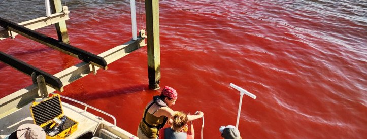 Ocean geoengineering scheme aces its first field test