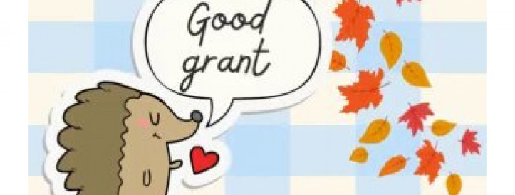 GRANT AS OF 27.10.2023