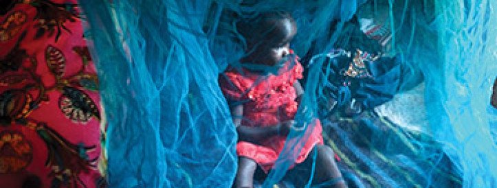 News at a glance: Modernizing bed nets, IDing a Solar System visitor, and health lessons from Beethoven’s hair