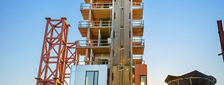 News at a glance: A respiratory disease vaccine, observing intensifying cyclones, and shaking a tall wooden building