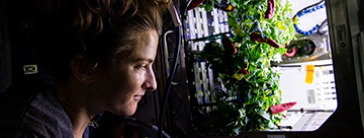 Crops grown without sunlight could help feed astronauts bound for Mars