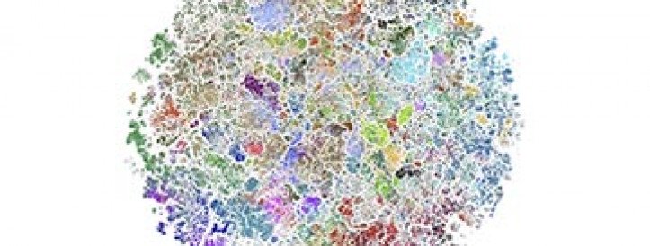 Atlas of biomedical literature could help track down fabricated studies