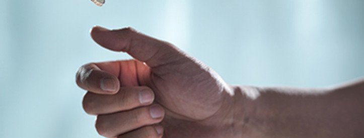 Humans will trade pain for useless information