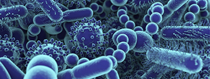 ‘Major errors’ alleged in landmark study that used microbes to identify cancers