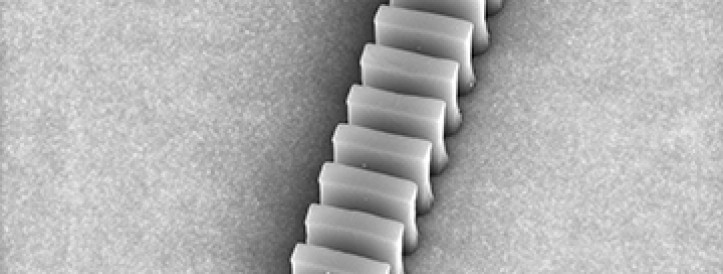 Biochip could detect multiple viruses, cancers, or toxins in minutes