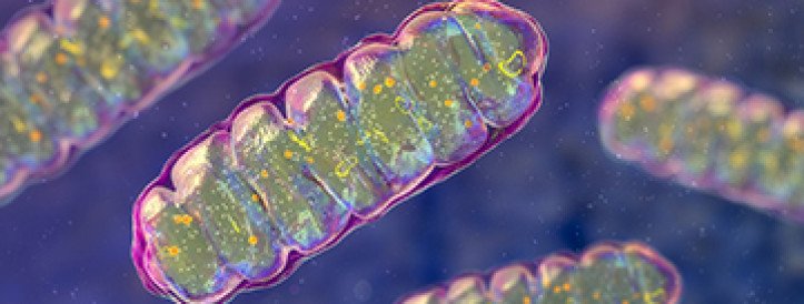 A blood test for Parkinson’s disease?