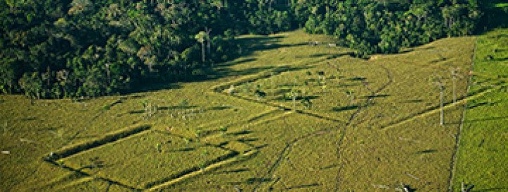 FAKE PAPER IDENTIFICATION IN THE POOL OF WITHDRAWN AND REJECTED MANUSCRIPTS