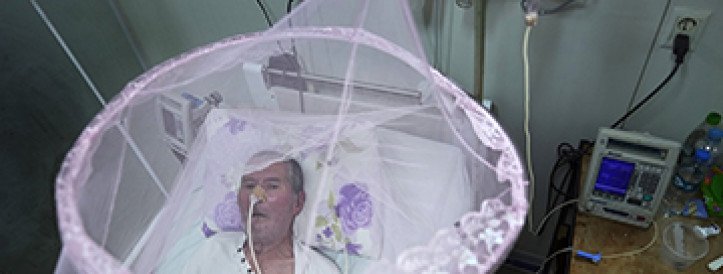 A chikungunya vaccine is nearing approval. Who will get it?