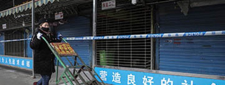 Chinese researchers release genomic data that could help clarify origin of COVID-19 pandemic