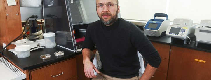 Tähe botaanik tõenäoliselt mõtles välja andmed toidulisandite kohta, leiab uus sondiinfo