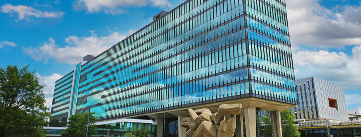 Radikaalne ainult naistele suunatud värbamispoliitika parandab mitmekesisust Hollandi ülikoolis