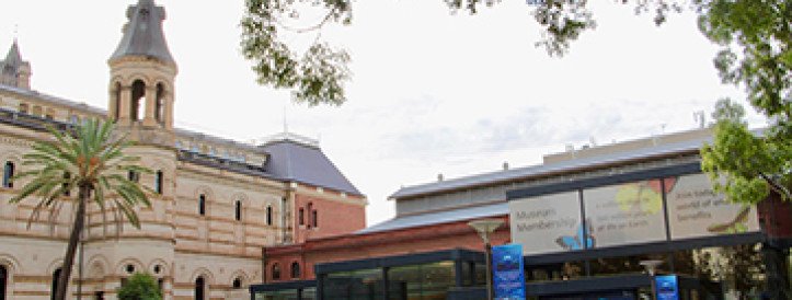 Austraalia ametnikud tühistavad plaani vähendada teadusuuringuid suures loodusmuuseumis