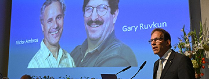 Geene reguleerivate RNA-de „ootamatu“ avastamine võitis Nobeli preemia