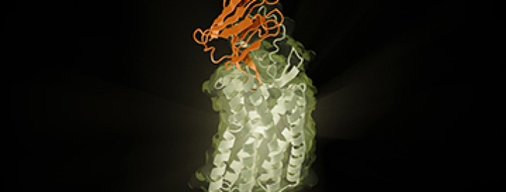 Tehisintellekt loob mõne kuuga potentsiaalselt uusi antikeharavimeid