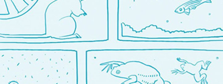 Šveitsi rahastaja hoiatab loomkatsete keelamise eest