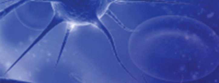 Web of Science eemaldab bioinseneriajakirja pärast paberivabriku puhastust nimekirjast