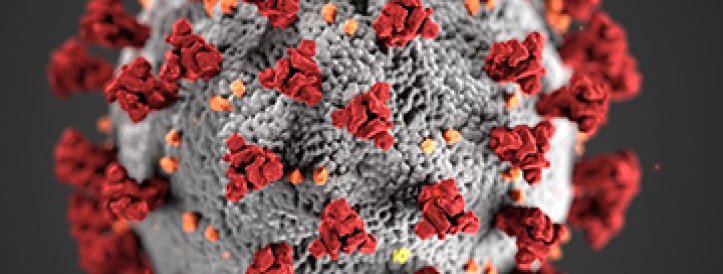 Kuidas hüdroksüklorokiini kasutamisest tingitud surmajuhtumeid hindav artikkel tagasi võeti